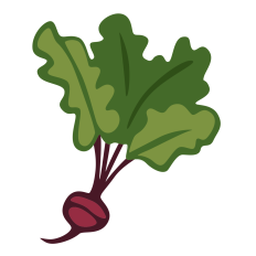 Beet Root