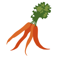 Bunch of Carrots