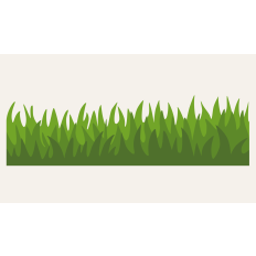 Grass Border