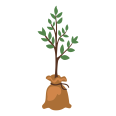 New Tree