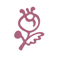 Modern Rose