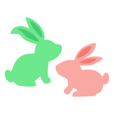 Bunny Pair