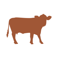 Cow Silhouette