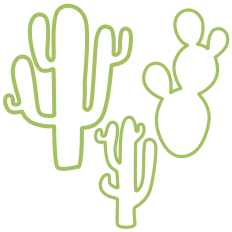 Cactus Outlines