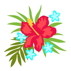 Tropical Hibiscus