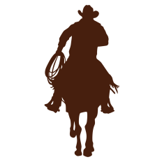 Cowboy Riding Silhouette