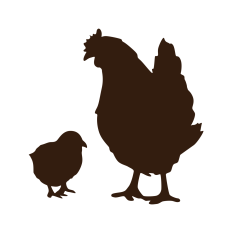 Chicken and Chick Silhouette