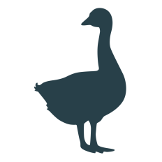 Goose Silhouette