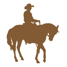 Cowboy on Horse