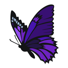 Detailed Butterfly
