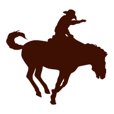 Rodeo Rider