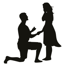 Proposal Silhouette