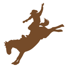 Rodeo Rider