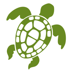 Sea Turtle