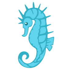 Seahorse Profile