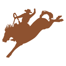 Rider on Bucking Horse