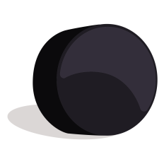 Hockey Puck