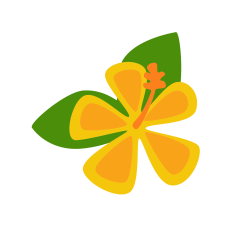 Plumeria Flower