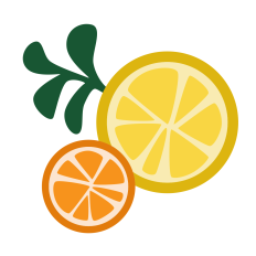 Citrus Slices