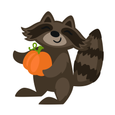 Raccoon with Pumpkin