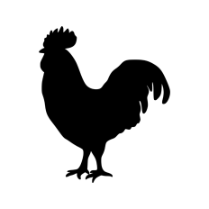 Rooster silhouette