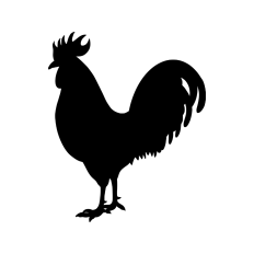 Rooster silhouette