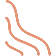Lines