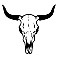 Longhorn Skull
