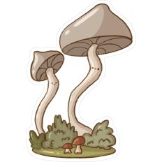 Two Cute Mushrooms