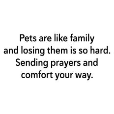 Pet Sympathy Greeting Card Sentiment