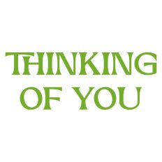 Thinking of You Greeting Card Sentiment