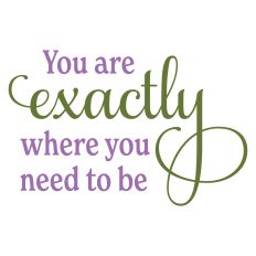 You Are Exactly Where You Need to Be