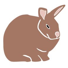 Bunny Rabbit