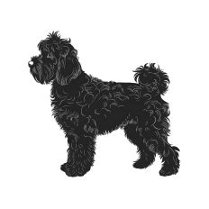 Schnoodle