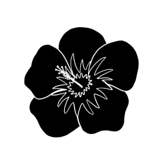 hibiscus flower