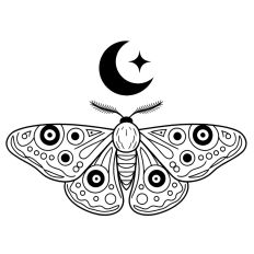 Mystical Moth with Moon