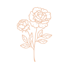 Birth month flower november peony