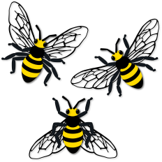 3 bees with legs