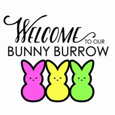 Welcome to our Bunny Burrow - 3 bunnies