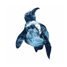 3 Color Dory the Penguin
