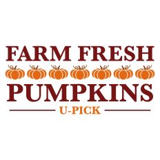Farm Fresh Pumpkins U-Pick Autumn Sentiment