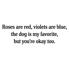 Funny Valentine's Day Card Sentiment