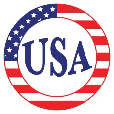 Patriotic American Flag USA Medallion
