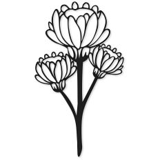 3 thistles outline