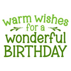 Warm Wishes for a Wonderful Birthday Greeting Card Sentiment