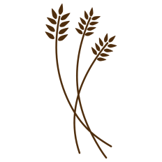 Wheat Stalk