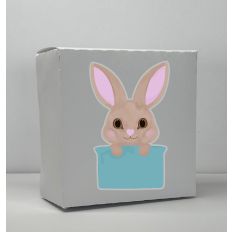 Bunny Box