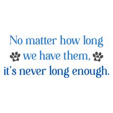 Pet Sympathy Greeting Card Sentiment