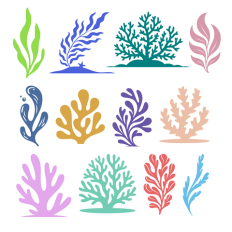 Set of Seaweed and Coral Silhouettes