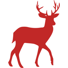 Reindeer